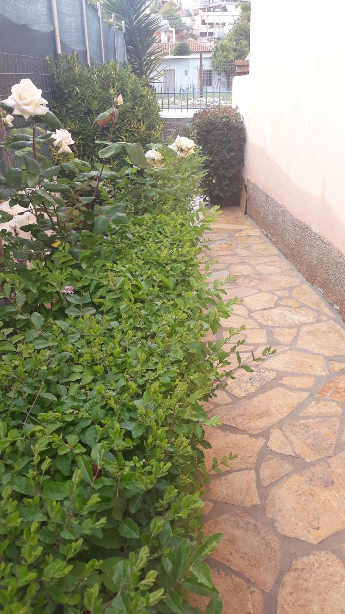Vila Shuka Ksamil Sarande Ngoại thất bức ảnh